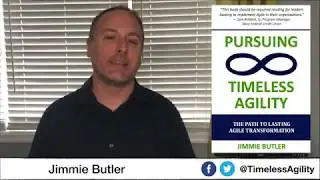 Book Promo: Pursuing Timeless Agility: the Path to Lasting Agile Transformation