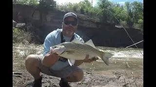 Hammerin' hybrids Lake Carl Blackwell spillway  4-26-19