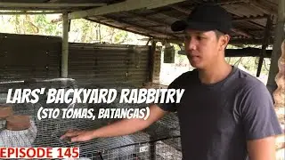 RABBIT FARMING - LARS' BACKYARD RABBITRY