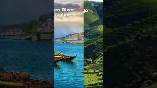 Most Amazing places to visit in Douro Valley, Portugal | Douro Valley, Portugal Attractions