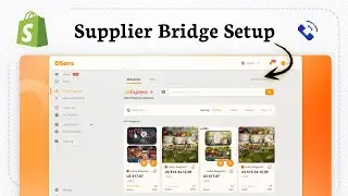 Как установить DSers для дропшиппинга в Shopify