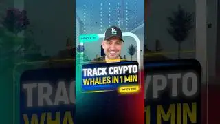 How to Track Whale Wallets in 1 Minute (Crypto Hack Revealed!)