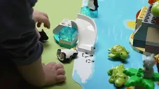 LEGO DUPLO Wilde dieren van de wereld - 10975 | PlayFun video