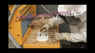 Attention aux r&eacute;serves de miel. Oblig&eacute; de nourrir sur un rucher de k&eacute;nyanes