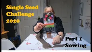 #87 The Single Seed Challenge 2020   Part 1   Sowing
