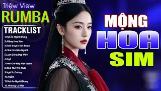 MỘNG HOA SIM , HỒNG TRẦN T&Igrave;NH CA - LK Nhạc Trẻ H&oacute;t TikTok 2025 - ALBUM RUMBA XUẤT SẮC NHẤT CỰC H&Oacute;T