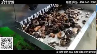 Cashew nut color sorter
