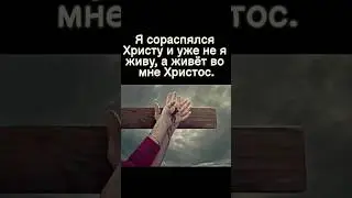 Я СОРАСПЯЛСЯ ХРИСТУ  И УЖЕ НЕ Я ЖИВУ , А ЖИВЕТ ВО МНЕ ХРИСТОС &hellip; 30.01.2026