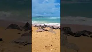 Beach side in Colombo Sri Lanka | 🍃😍🏝️  | #srilanka #youtubeshorts #beauty #beach #travel #nature