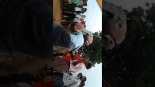 Gangireddu ata sankrathi