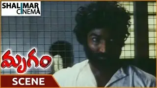 Mrugam Movie || Aadhi Pinisetty Misundertands Padmapriya || Aadhi Pinisetty || Shalimarcinema