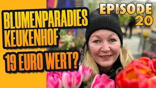 Der Keukenhof ein Erlebnis f&uuml;r Blumenfans