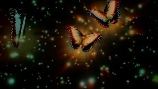 CLEVER ANDROID - Butterfly