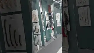 hardware soow room raipur plyneer