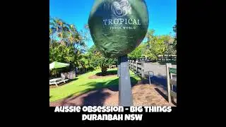 The Big Avocado Duranbah NSW