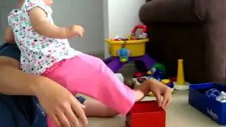 Box Fitting & also tic-coo tic-coo