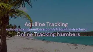 Aquiline Tracking - How to Track Aquiline Delivery Status