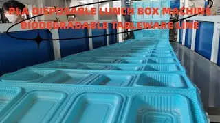 Biodegradable Plastic-Free Rice Husk Corn Starch Food Box Tray Plate Container Making Machine