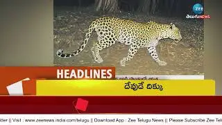 Headlines | BRS Party First List | Bear at Tirumala | Lucky Draw For Telangana Wine Shops | ZEE