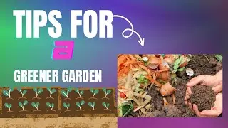 TRANSFORM YOUR WASTE: COMPOSTING TIPS FOR A GREENER GARDEN