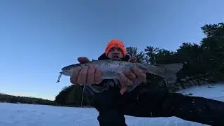 Early Ice Rainbow Trout Calabogie Ontario