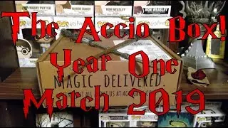 The Accio Box | Year One | March 2019