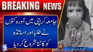 Karachi: Stray Dogs Make Life Difficult for Citizens | Channel5NewsHD