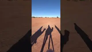 Camel Riding, Moroccan Desert, Morhara Morocco Tours from Dev C. 🇲🇦