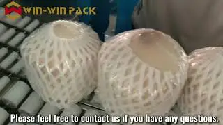 WIN WIN PACK Fully Automatic Coconut Food Wrapping Machine | Fruits, Vegetables, Meat & Seafood