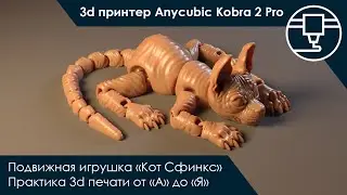 Кот Сфинкс | Печать подвижной антистресс игрушки на 3d принтере Anycubic Kobra 2 Pro от 