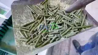 Miscanthus Pellet Mill Operation