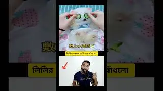 Bengali Dog Fun Fest | Best Cute and Hilarious Moments