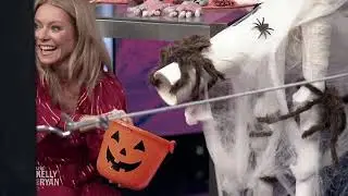 Safe Trick or Treating with Monica Mangin