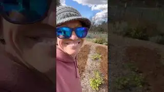 Composted Manure