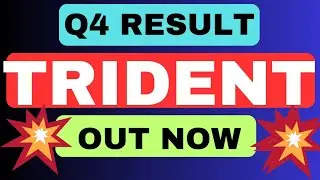 Trident Q4 results 2024 | Trident latest news today  | Trident results today #Q4results2024