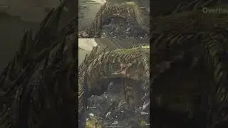 Monster Hunter Wilds - strange glitch