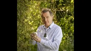 Science New Zealand Awards 2023 - Dr David Teulon &ndash; Plant & Food Research Individual/Lifetime award