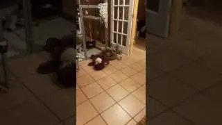 Sloth love!