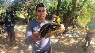A comer TORTUGA ya que la PESCA no estuvo tan buena