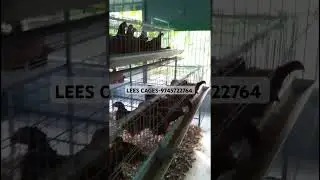 TATA hitech poultry cage and BV 380 hens in Pathanamthitta #shorts