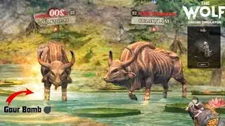 Gaur Champion First Time Hunt in Jade Pillars‼️| Hello Emote | The Wolf Game