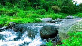 Harmonious Nature River ASMR &ndash; For Focus, Therapy & Deep Sleep