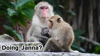 FEEL broken heart but JANNA so interested with JAZZY! JANNA sit look newborn by scare JANE warn bite