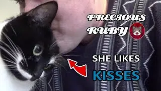 Ruby The Cat Likes Kisses on Her Head | Precious Ruby