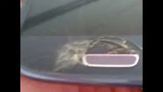 samsung galaxy s3 cracked screen problem