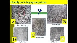 Forensics Fingerprint types