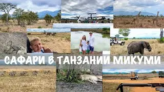 #1 ЗАНЗИБАР ПО ПУТЕВКЕ. САФАРИ В ТАНЗАНИИ. НАЦИОНАЛЬНЫЙ ПАРК В МИКУМИ.