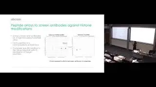 Raising antibody validation standards with knockout technology