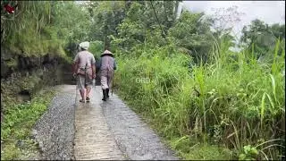 JUST RAIN AND SILENCE — Peaceful Village Ambience for a Calm Mind 🍃🏠