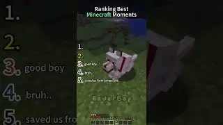 Top 5 Funniest Minecraft Moments🤣🤣